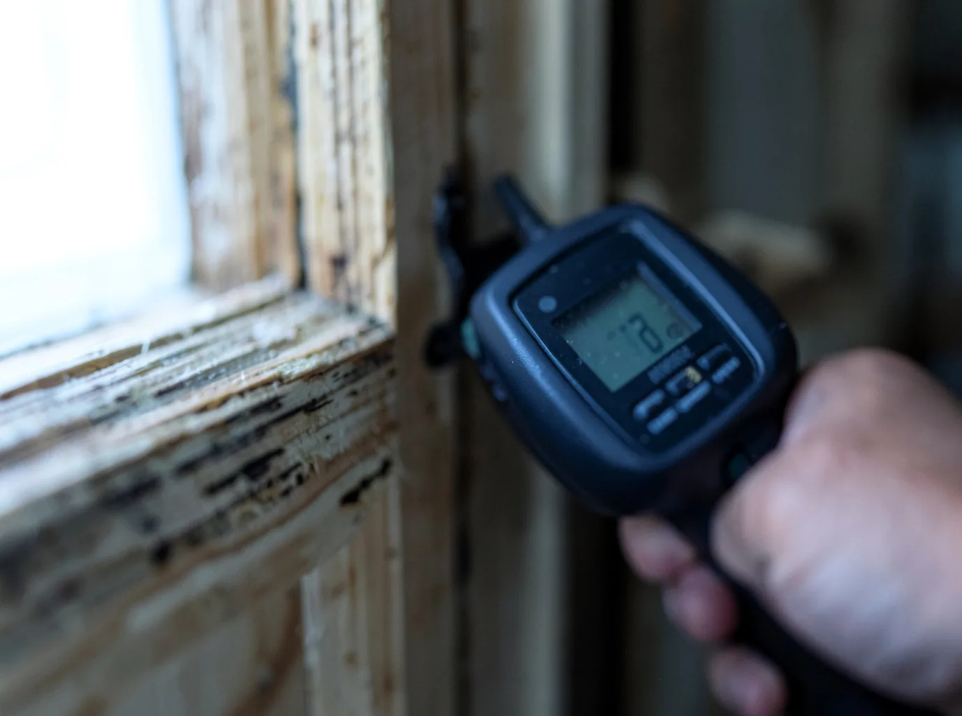 Moisture Inspection And Documentation in Thorpe, WV